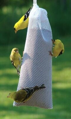 Audubon Thistle Sock