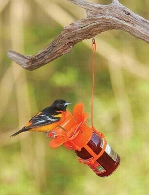 Songbird Essentials Oriole Jelly/Jam Feeder