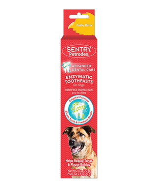 Petrodex Toothpaste Poultry 2.5oz