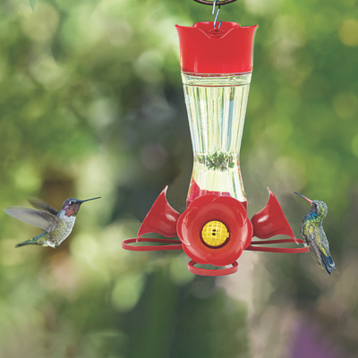 Perky Pet Pinch Waist Glass Hum Feeder 8oz