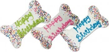 Preppy Puppy Birthday Bone Assorted