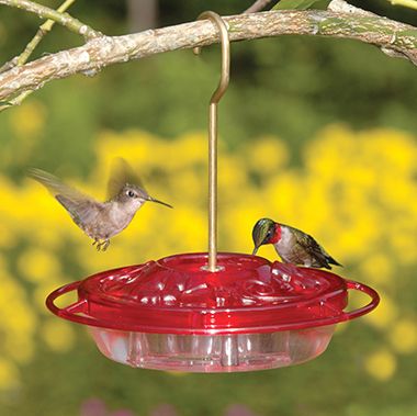 Aspects Little Fancy Hummingbird Feeder 8oz