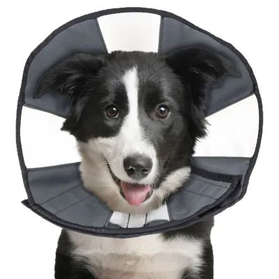ZenPet ZenCone Soft Recovery Collar L
