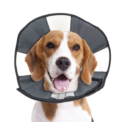 ZenPet ZenCone Soft Recovery Collar M