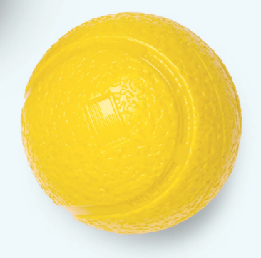 West Paw Boundr Dandelion L