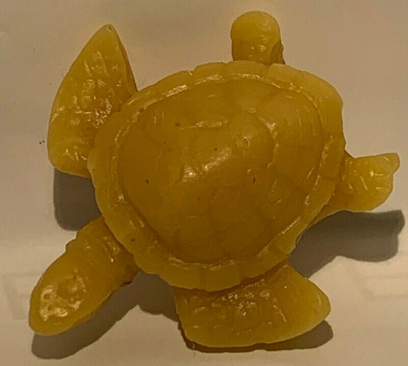 TORTUE CIRE D'ABEILLES