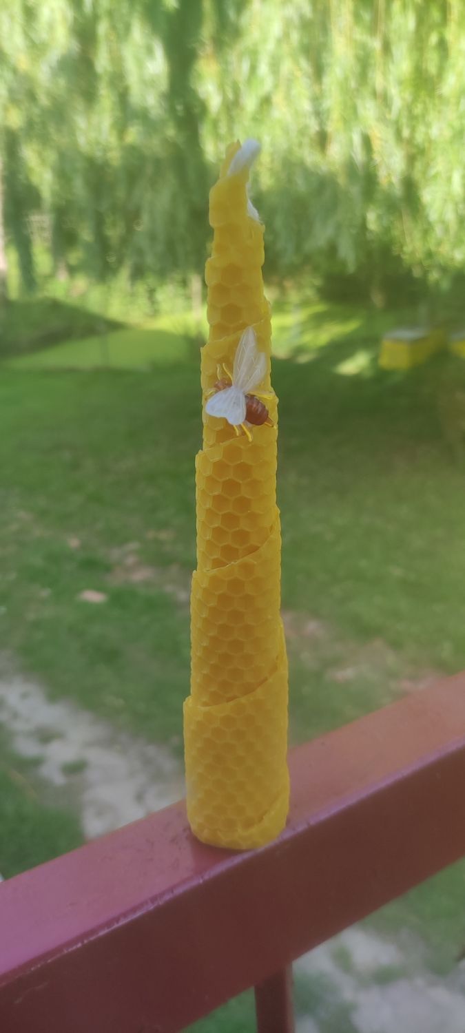BOUGIE HAUTE EN CIRE D'ABEILLES