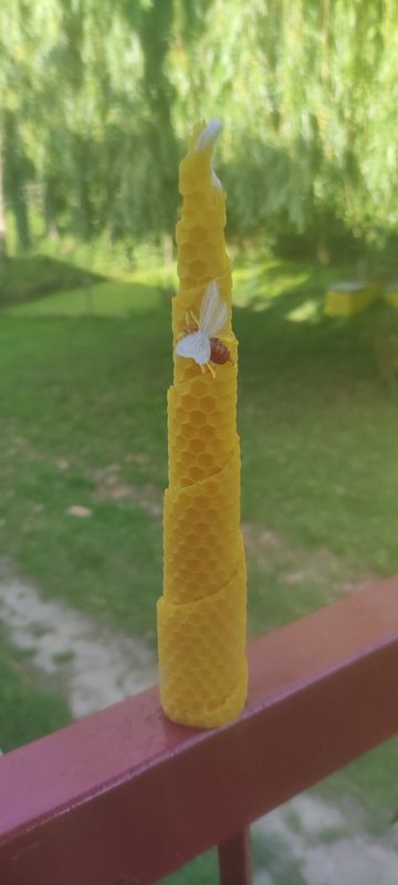 BOUGIE HAUTE EN CIRE D'ABEILLES