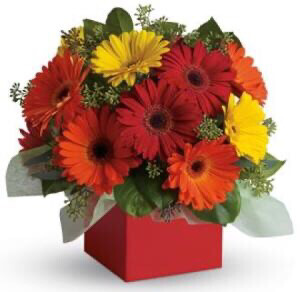 Happy Smiley Flowers