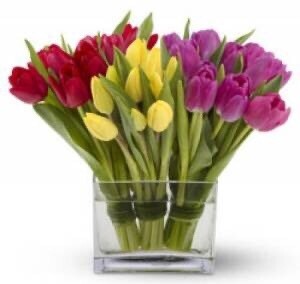Funky Tulip vase