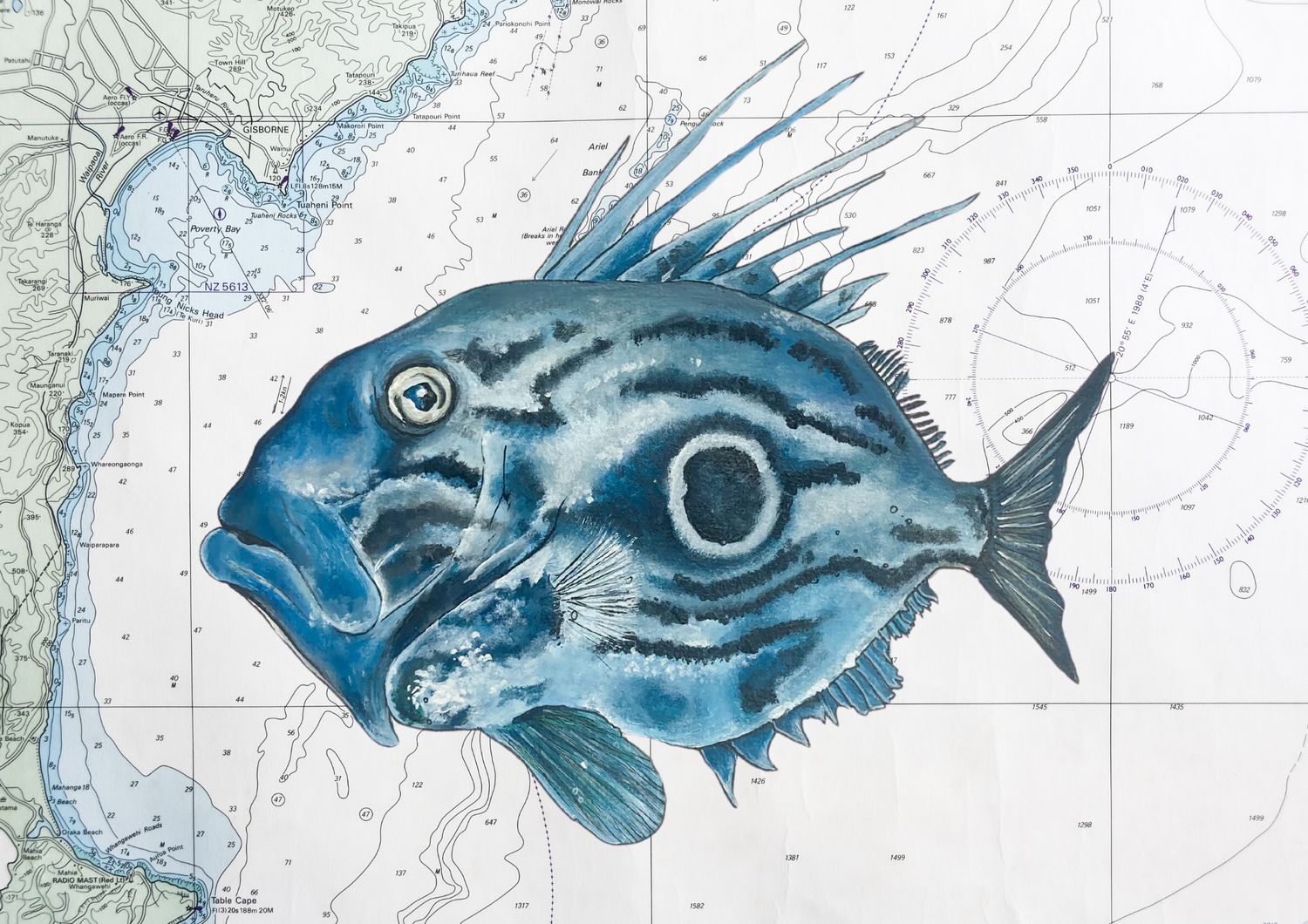SEA CHARTS