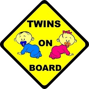 Twins on Board