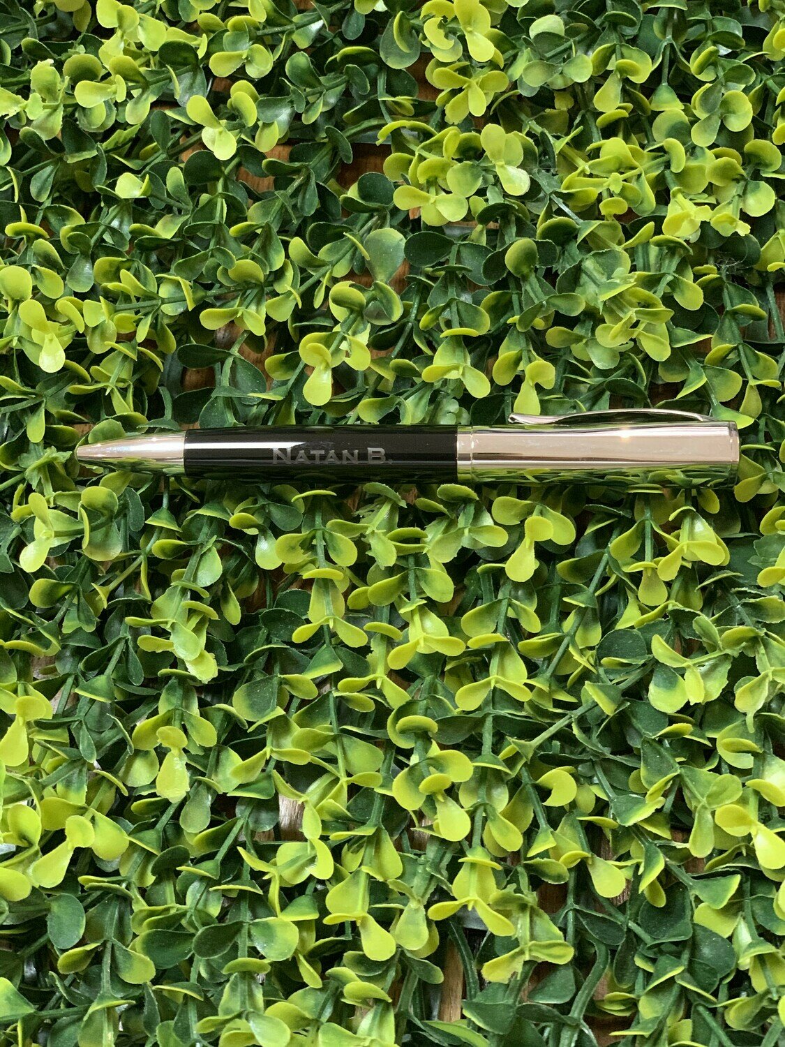 Pluma Negra