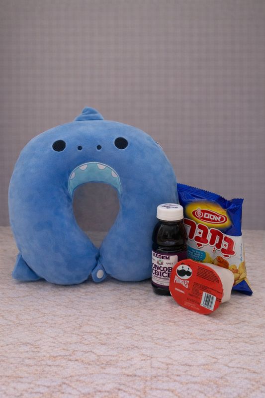 Royal kids Travel for boys