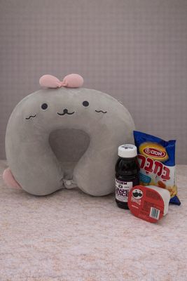 Royal kids Travel for girls