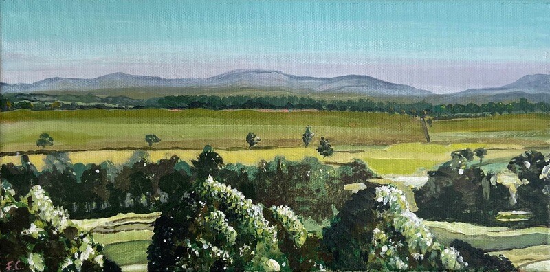 Hunter Valley Morning