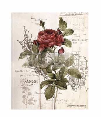 Botanical Rose