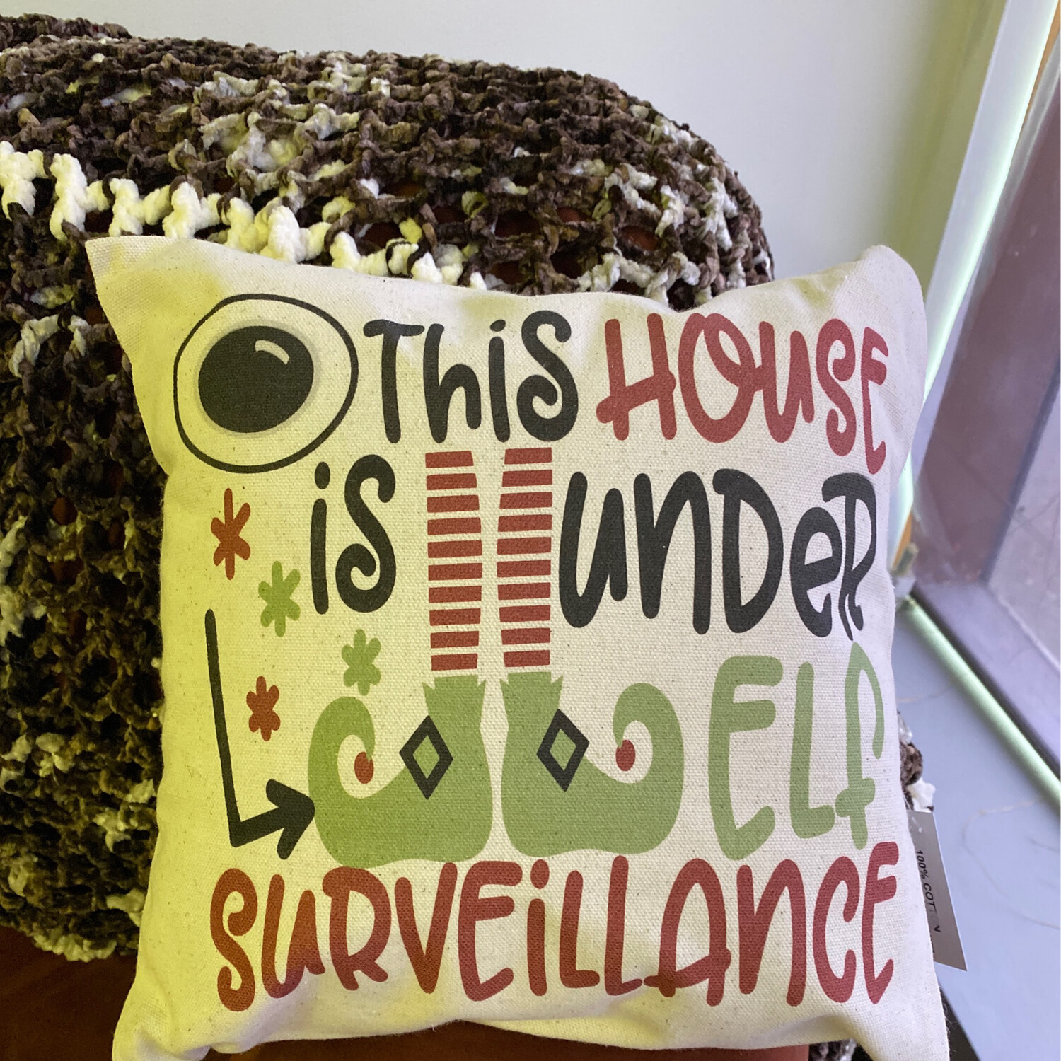 This House Under Surveillance Pillow