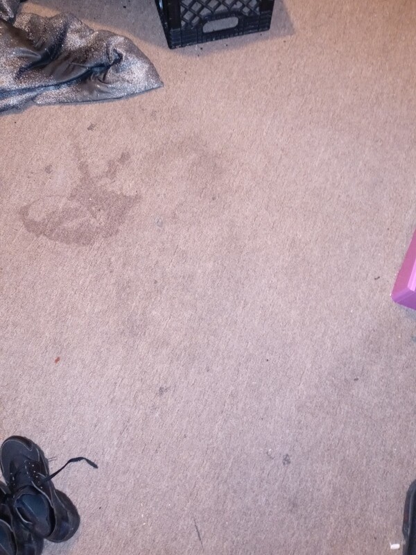 Carpet Cleaning