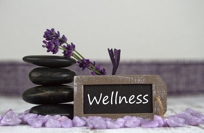 Wellness Travel