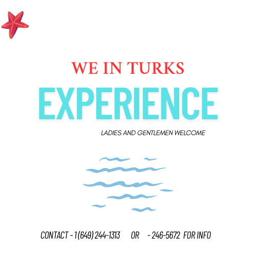 The We in Turks Experience