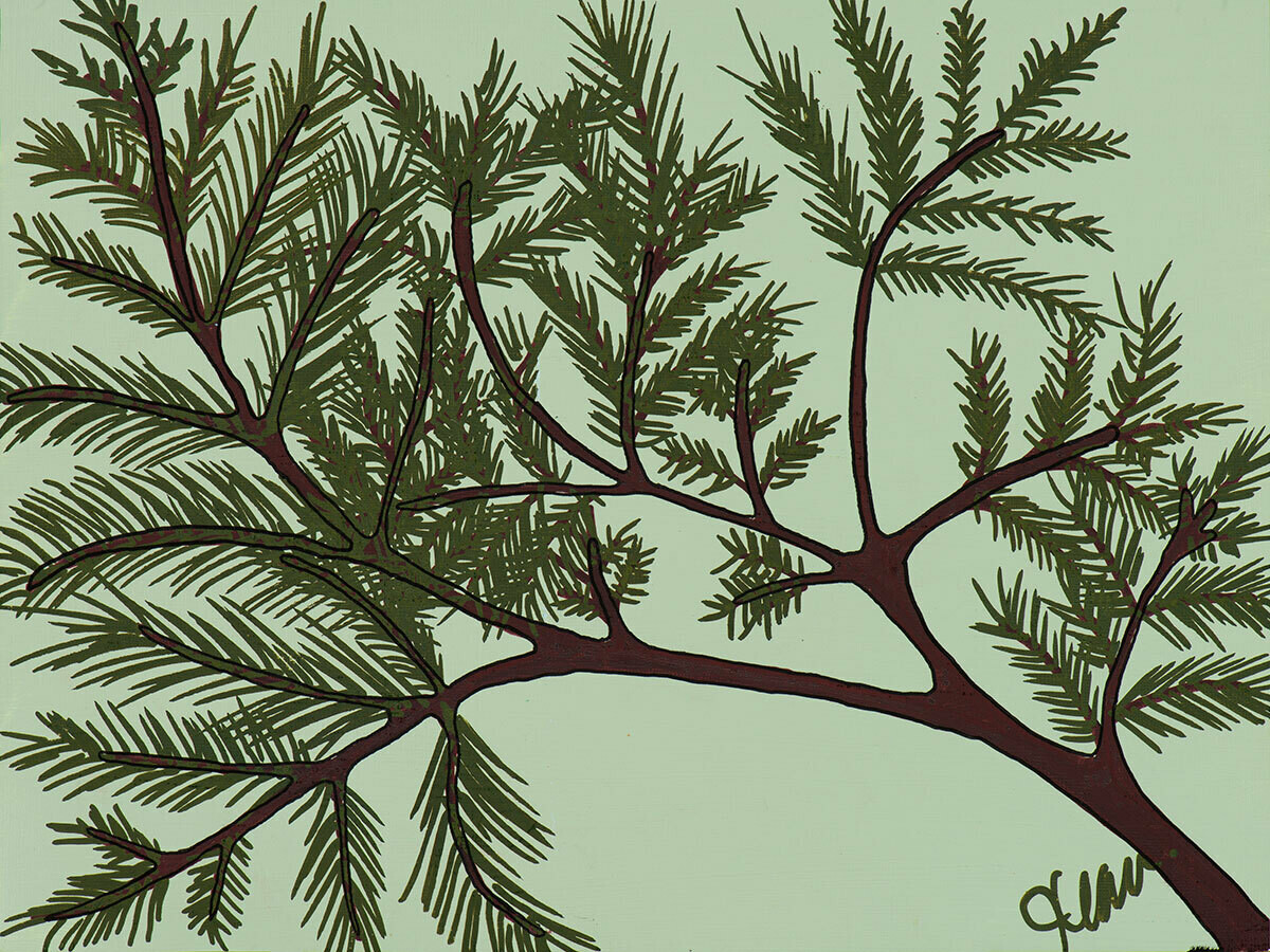 Cedar Cedar