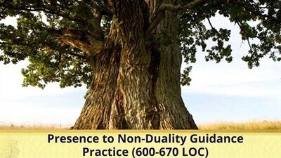 Presence to Non-Duality Guidance