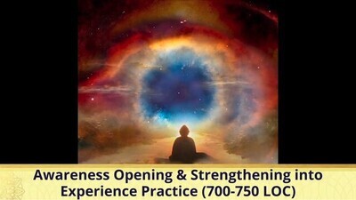 Awareness Opening & Strengthening into Experience Practice (700-750 LOC)