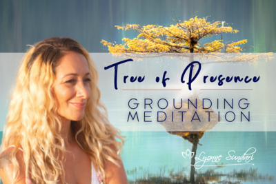 Tree of Presence Grounding Meditation