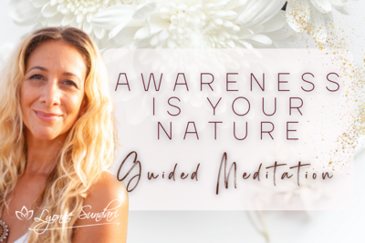 Awareness is Your Nature & Meditation