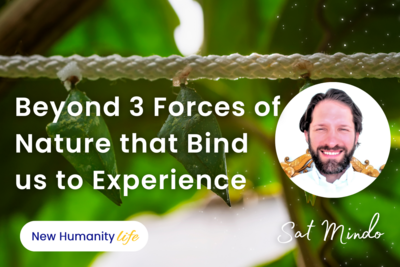 Beyond 3 Forces of Nature that Bind us to Experience