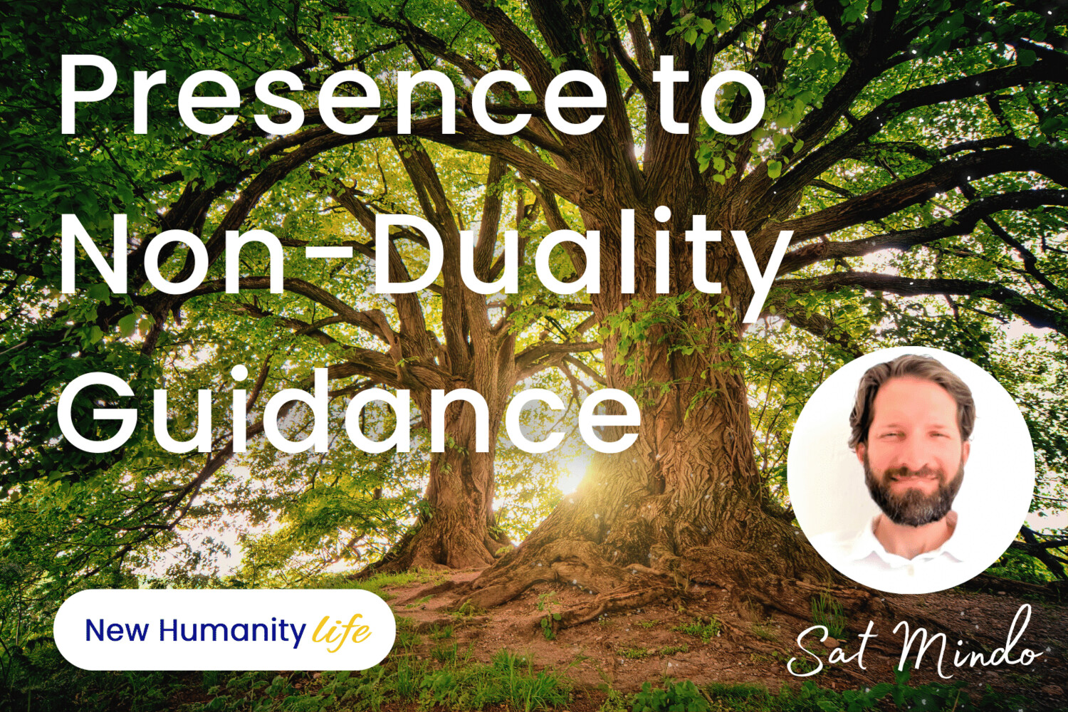 Presence to Non-Duality Guidance
