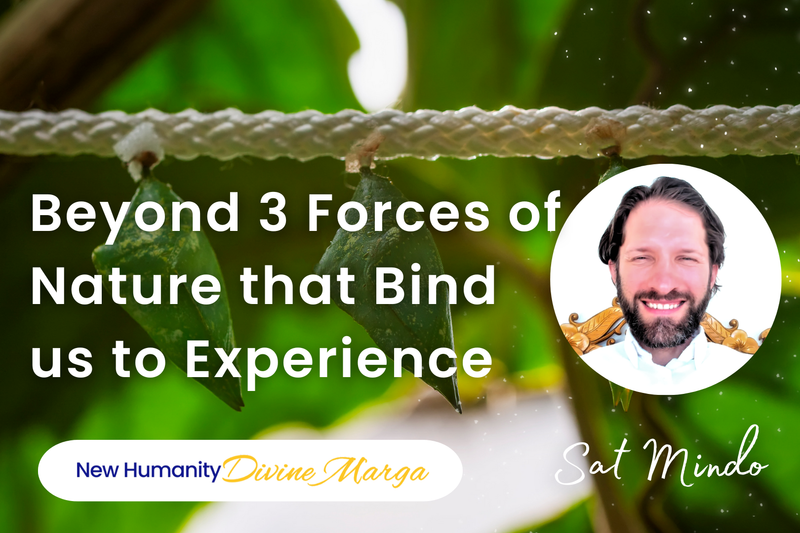 Beyond 3 Forces of Nature that Bind us to Experience