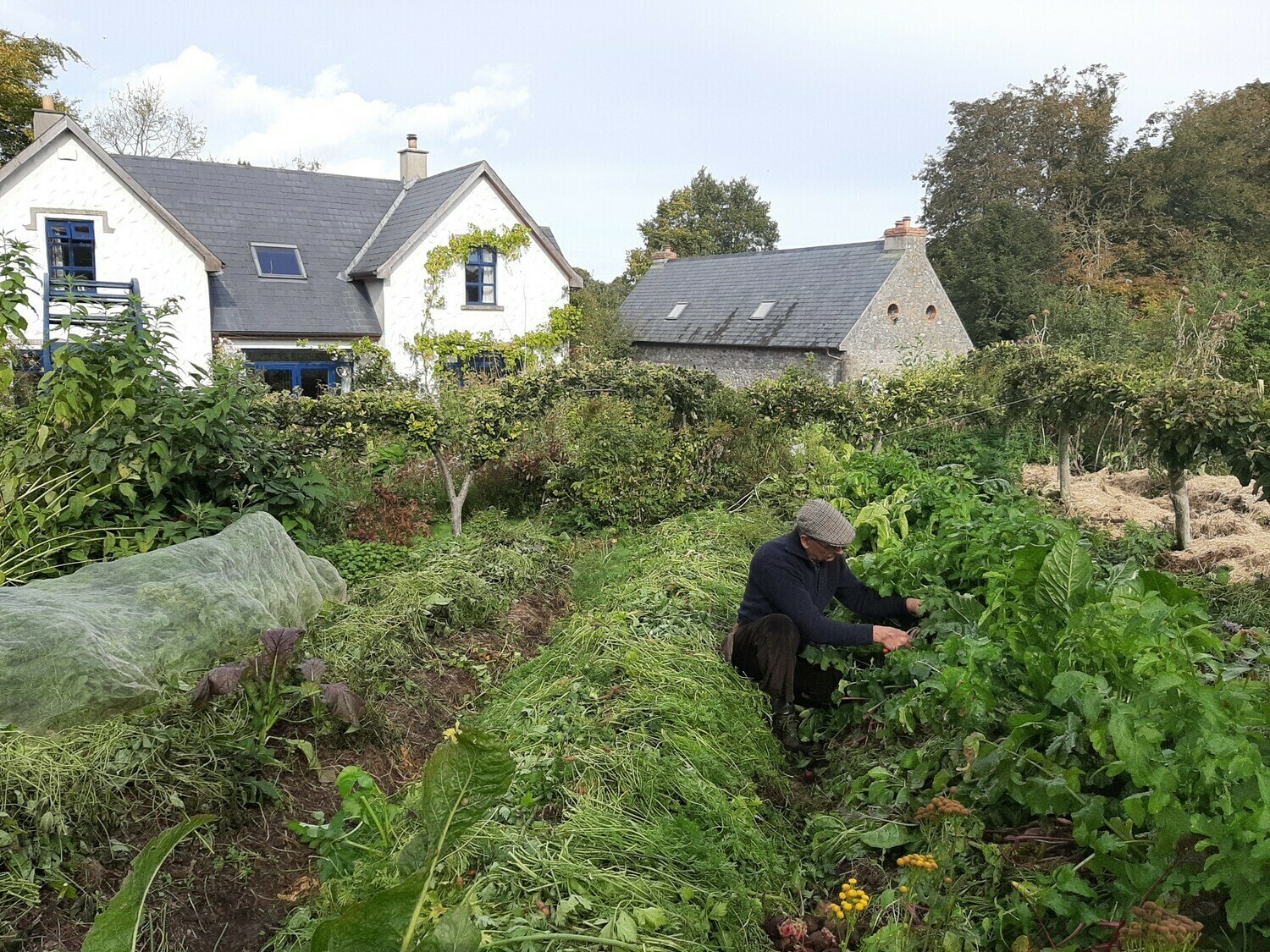 Monthly Stroll in the Garden, 10 Month Zoom Gardening Course 2025
