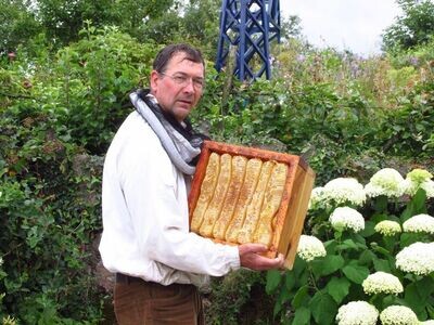 Natural beekeeping courses in a Warre hive