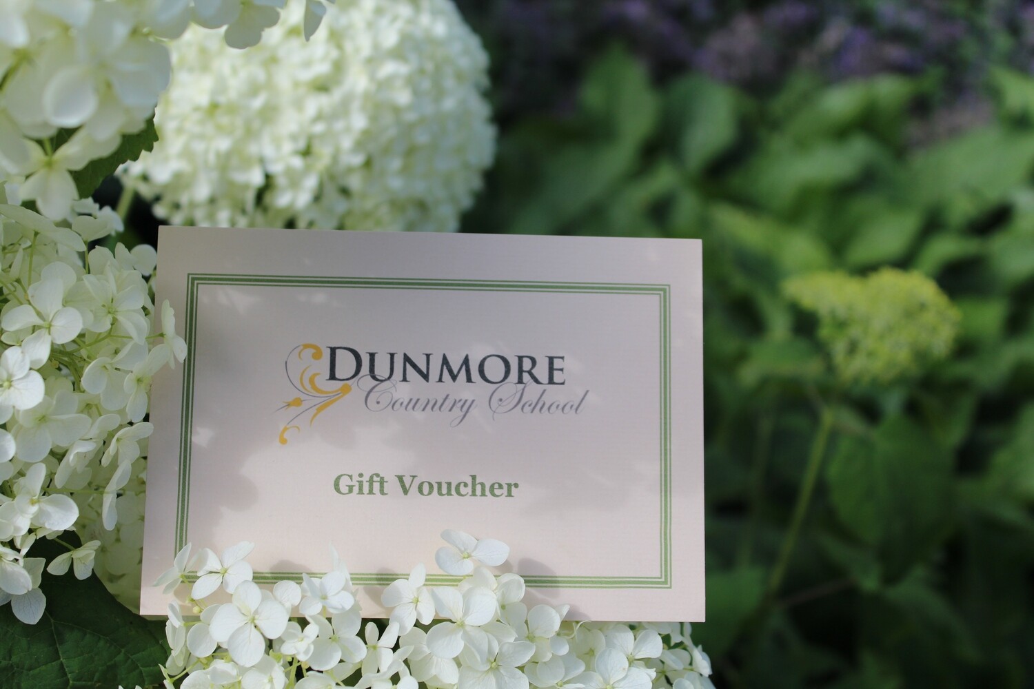 E-Gift Card - Gift Voucher