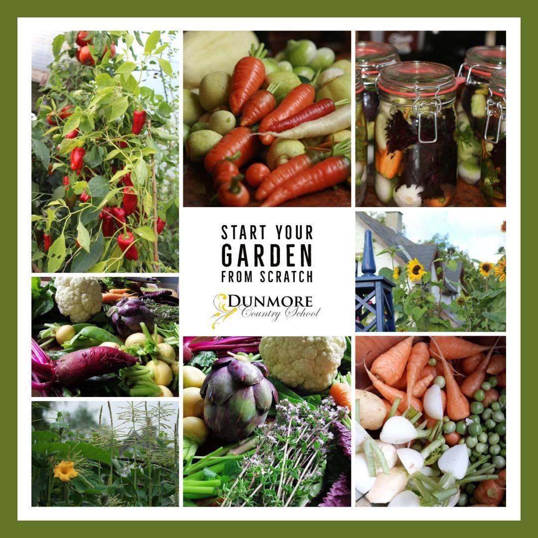 Start Your Garden From Scratch - Live Zoom Gardening Course 10th February 2025