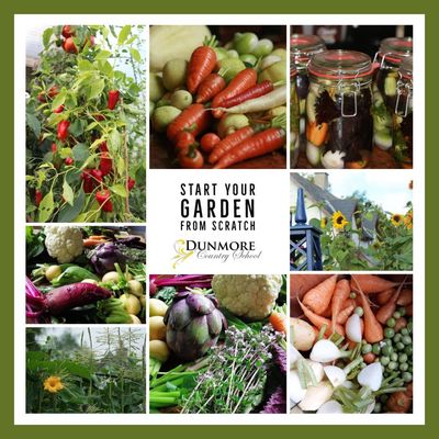 Start Your Garden From Scratch - Live Zoom Gardening Course 10th February 2025