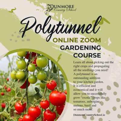 Polytunnel Course - Live Zoom Gardening Classes, 10th February 2025