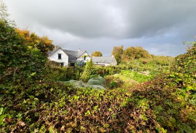 Start your garden from scratch