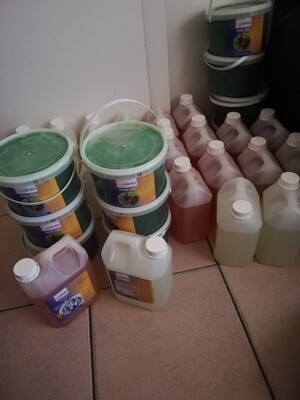 Pine gel, bleach and dishwasher