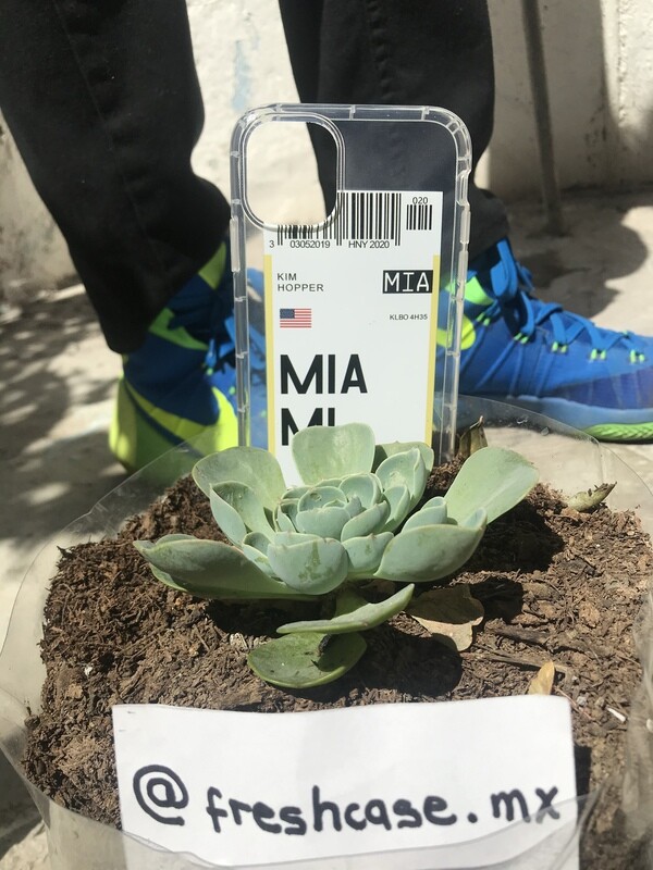 Case “MIAMI”