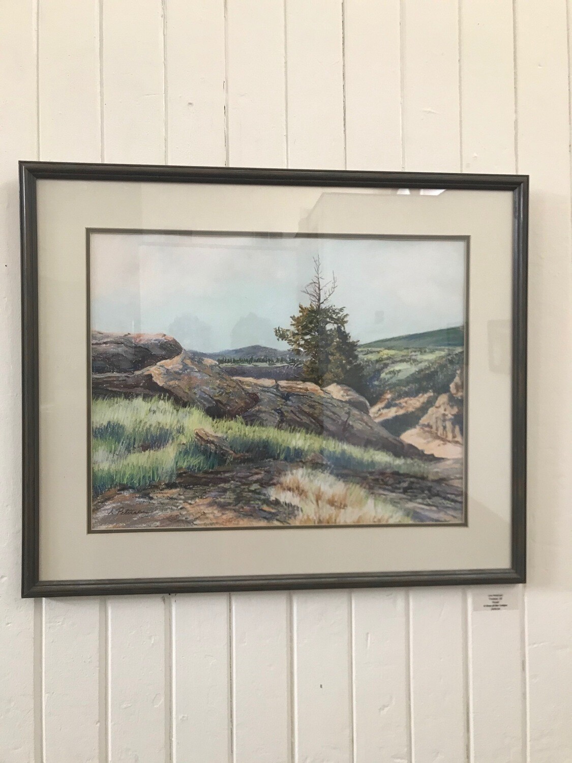 A View of the Canyon by Lois Petersen