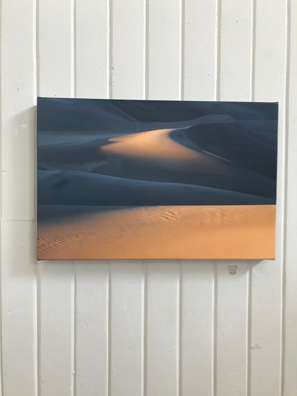 Dune Light by Yvonne O'Brien