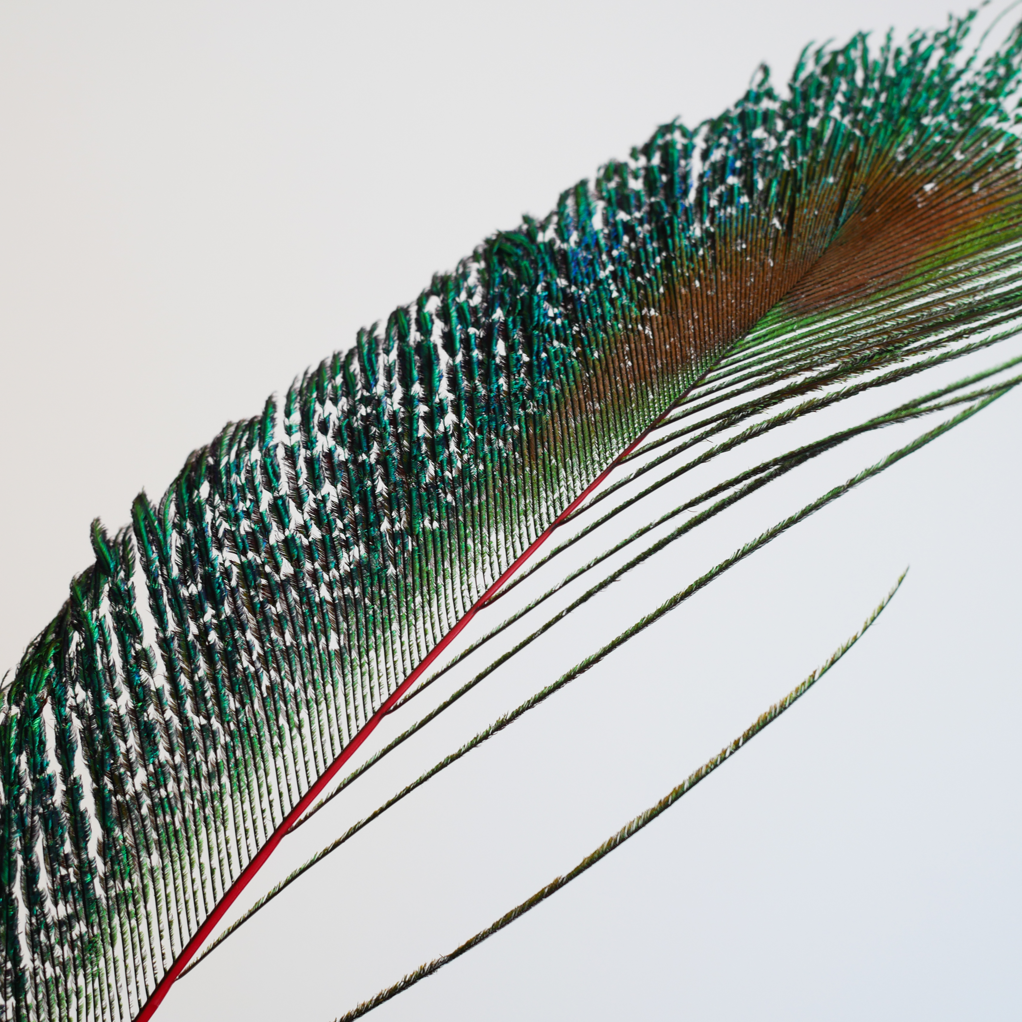 магазин перо