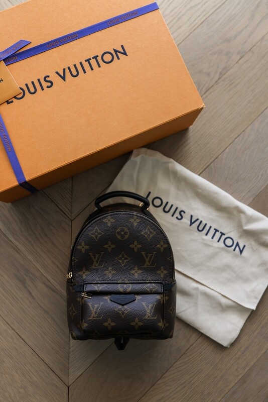 Louis Vuitton Palm Springs Mini Backpack