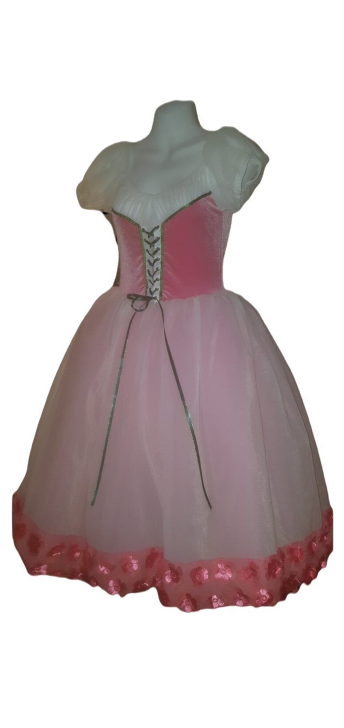 Ballet any Style we can Make it