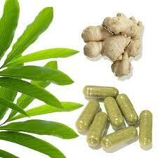 Mineral Supplements
