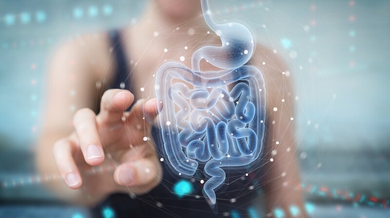 Microbiome Master Course