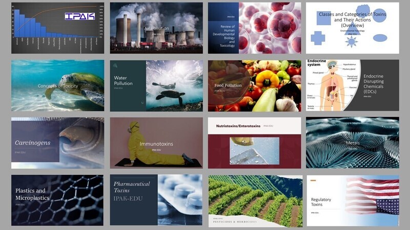 Environmental Toxicology: Ecosystem and Human Health